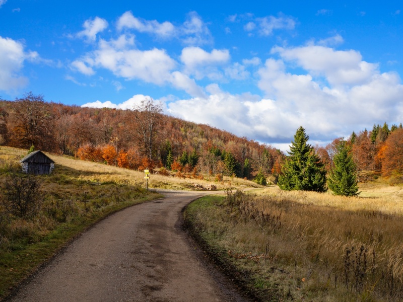 'TiboldWine' Miskolc -Tibolddaróc MTB kerékpártúra