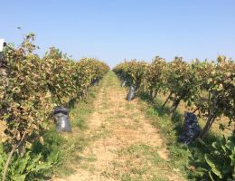 464508432 27428061213504711 7091606767516233138 n