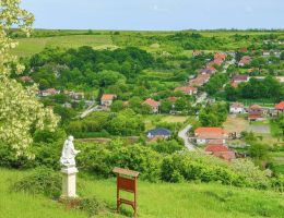 442426741 931931982276383 8385675735204660255 n