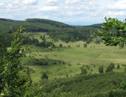 imgi 108 f717befa527fe33477b3aff196b18d13 XL