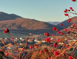 imgi 131 cserepfalu bukk kirandulas gyalogtura latnivalo jegyvasarlas csodalatosmagyarorszag