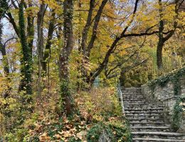 imgi 220 IMG 3631 scaled