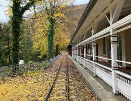 imgi 223 IMG 3783 scaled