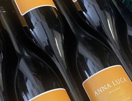 445575543 1018679243600047 5800652115815052059 n